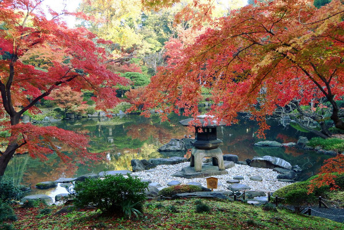 ≪Autumn Leaves Viewing Spot≫ Kyu-Furukawa Gardens