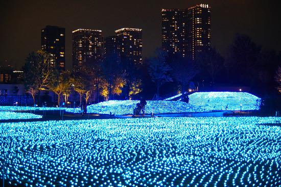 Shinagawa Season Terrace Illumination