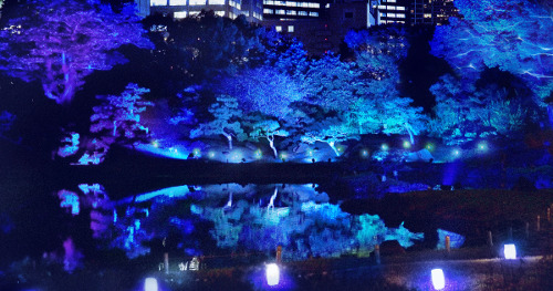 Summer Evening Party at Kyu-Shiba-rikyu Gardens