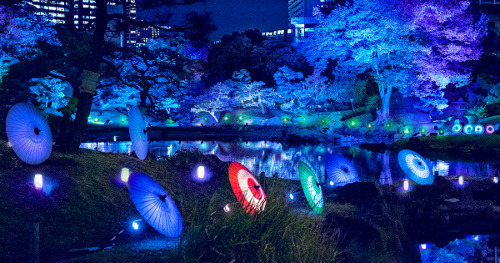 Summer Evening Party at Kyu-Shiba-rikyu Gardens