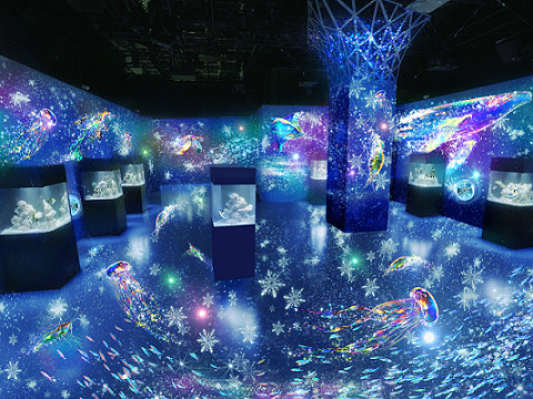 NAKED Snow Aquarium (Aqua Park Shinagawa)