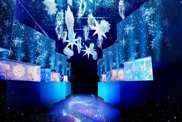 NAKED Snow Aquarium (Aqua Park Shinagawa)