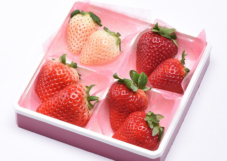 Yokohama Strawberry Festival 2020 (Yokohama Red Brick Warehouse)