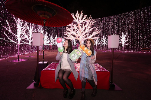 Lake Sagami Pleasure Forest Sakura Festival