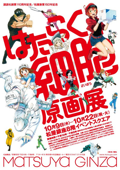 Cells at Work! Volume 6 (Hataraku Saibou) - Manga Store