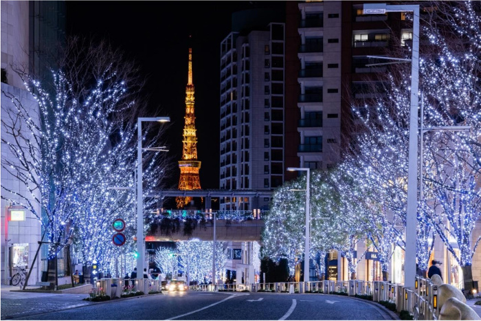 Roppongi Hills Keyakizaka Illumination Sagaswhat Tokyo Find The Best Time For Fun Sagaswhat Tokyo Find The Best Time For Fun