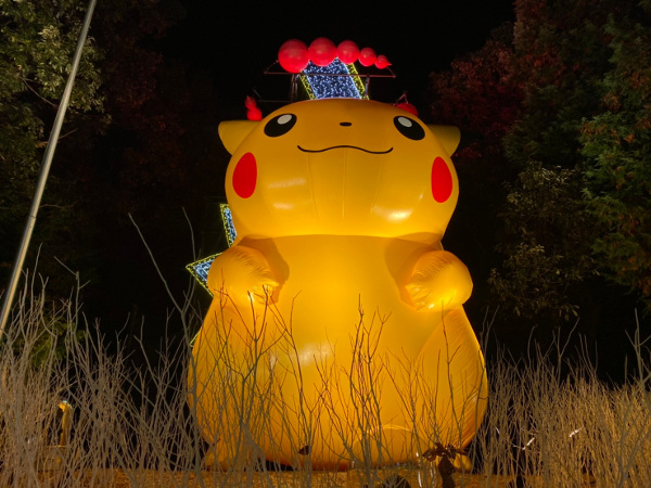 SAGAMIKO ILLUMILLION (Lake Sagami Pleasure Forest Illumination)