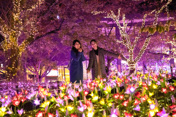 SAGAMIKO ILLUMILLION (Lake Sagami Pleasure Forest Illumination)