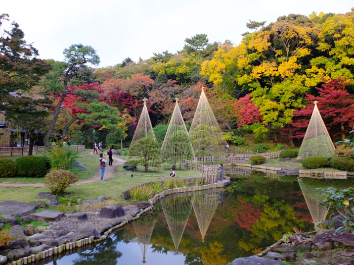 ≪Autumn Leaves Viewing Spot≫ Higo Hosokawa Garden