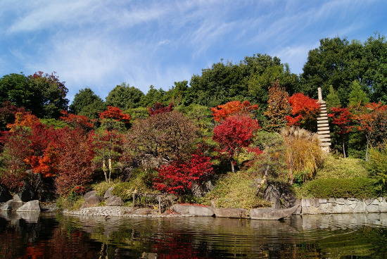 ≪Autumn Leaves Viewing Spot≫ Mejiro Garden