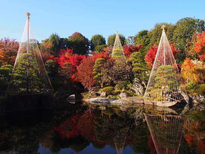 ≪Autumn Leaves Viewing Spot≫ Mejiro Garden