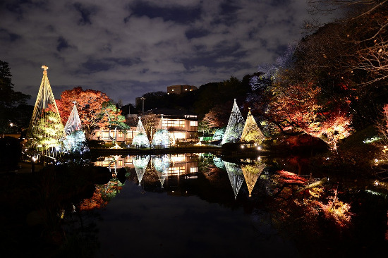 Higo Hosokawa Garden "Autumn Leaves Light up -Lights of Higo-"