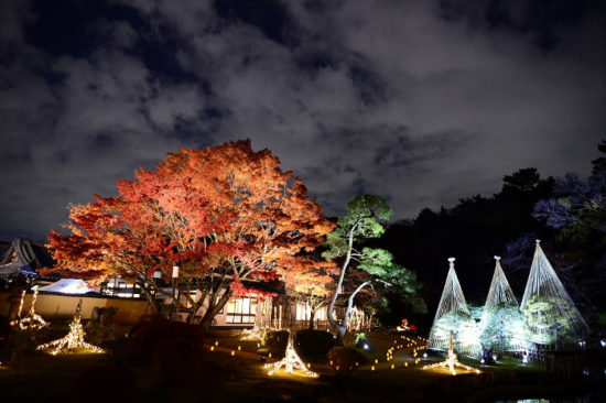 Higo Hosokawa Garden "Autumn Leaves Light up -Lights of Higo-"