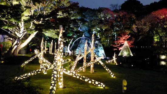 Higo Hosokawa Garden "Autumn Leaves Light up -Lights of Higo-"