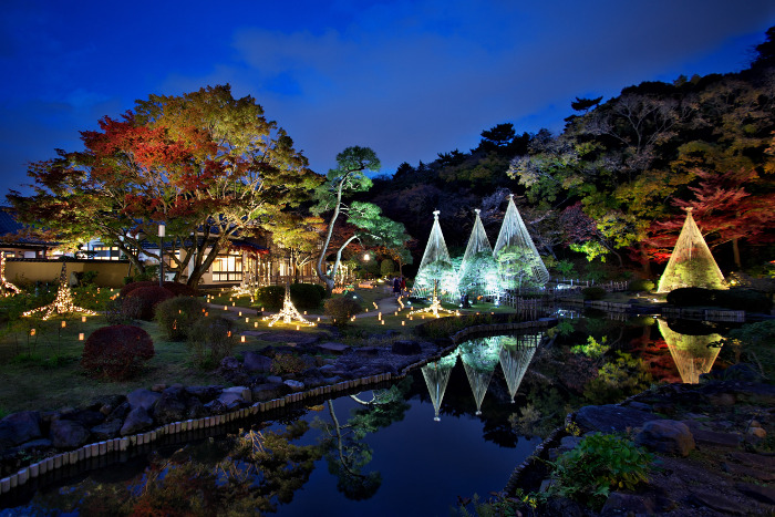 Higo Hosokawa Garden "Autumn Leaves Light up -Lights of Higo-"