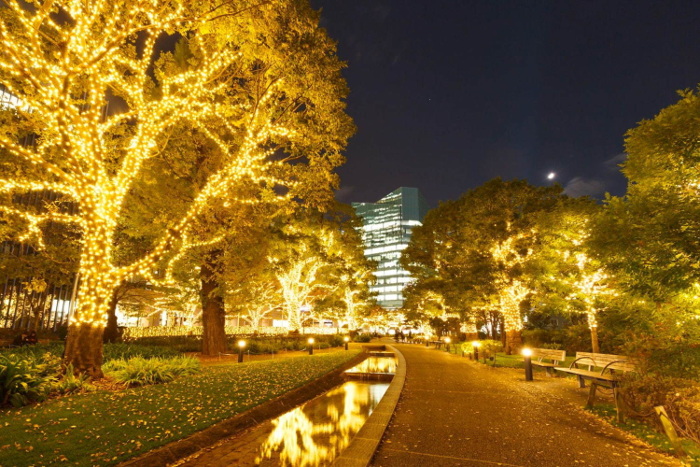 Midtown Winter Lights