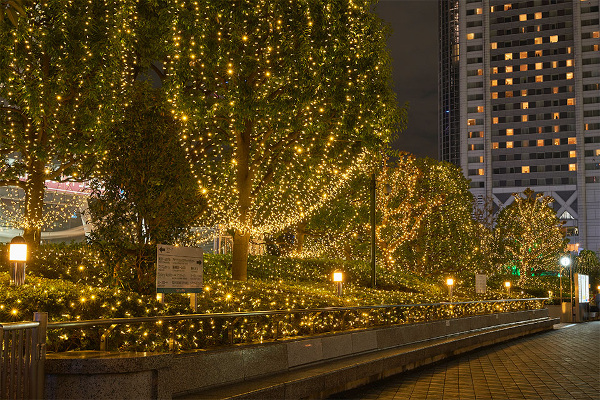 Tokyo Dome City Winter Illumination